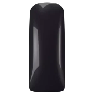 168779 Magnetic LL Polish Black Slate
