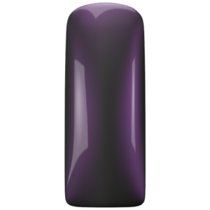 168735 Magnetic Polish LL Purple Piste