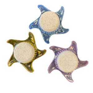 Elina Puimsteen + Borstel Ster