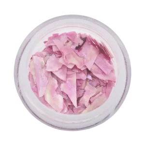 118955 Magnetic Inlay Shell Sheets Pink