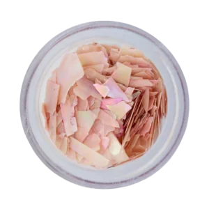 118954 Magnetic Inlay Shell Sheets Salmon