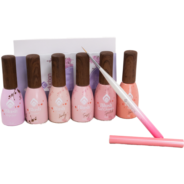 Magnetic Introductiepakket Blush Gel