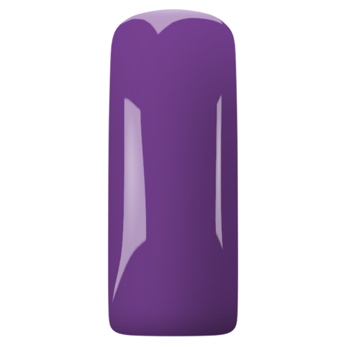 PRE-ORDER Magnetic Gelpolish Purple 12- 600118 - Afbeelding 2