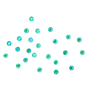 neon groene rhinestones voor nail art, 24 stuks, maat S van magnetic nail design 118903