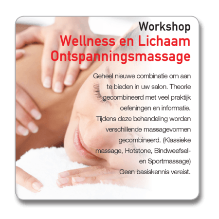 Workshop Wellness ontspanningsmassage Lichaam