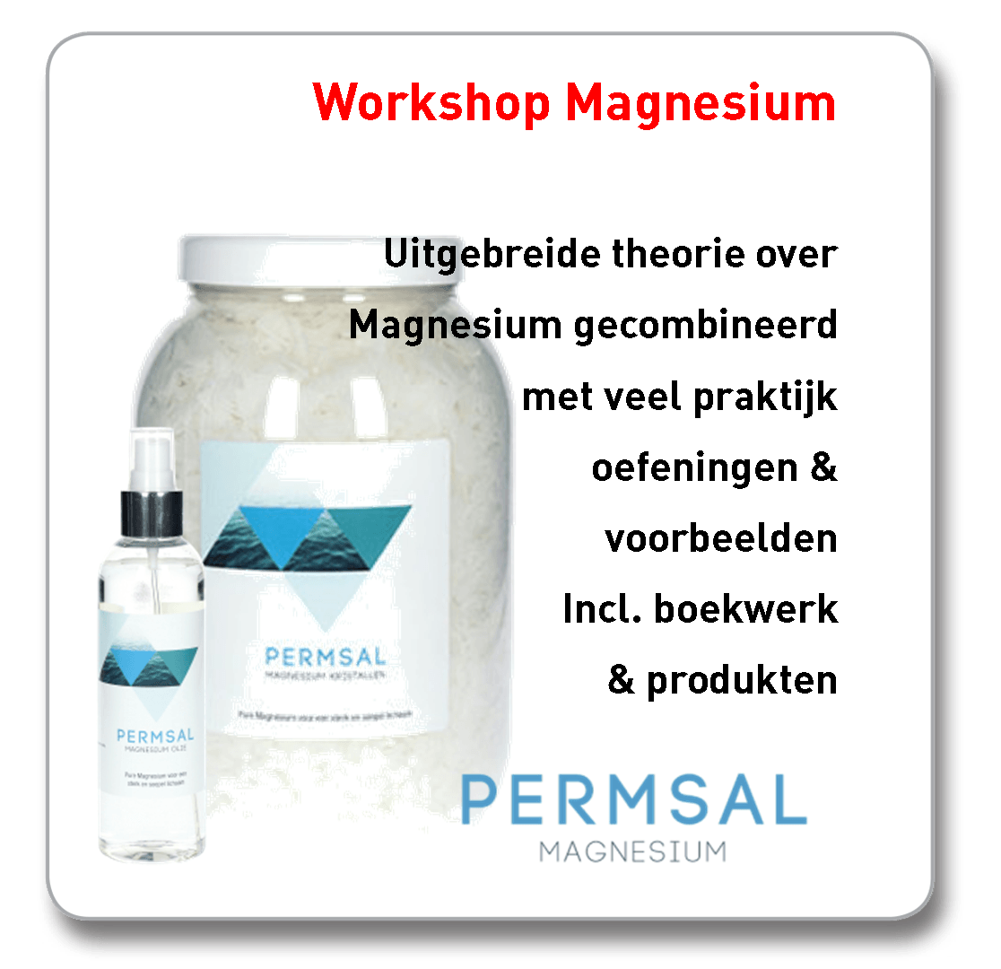 Workshop magnesium
