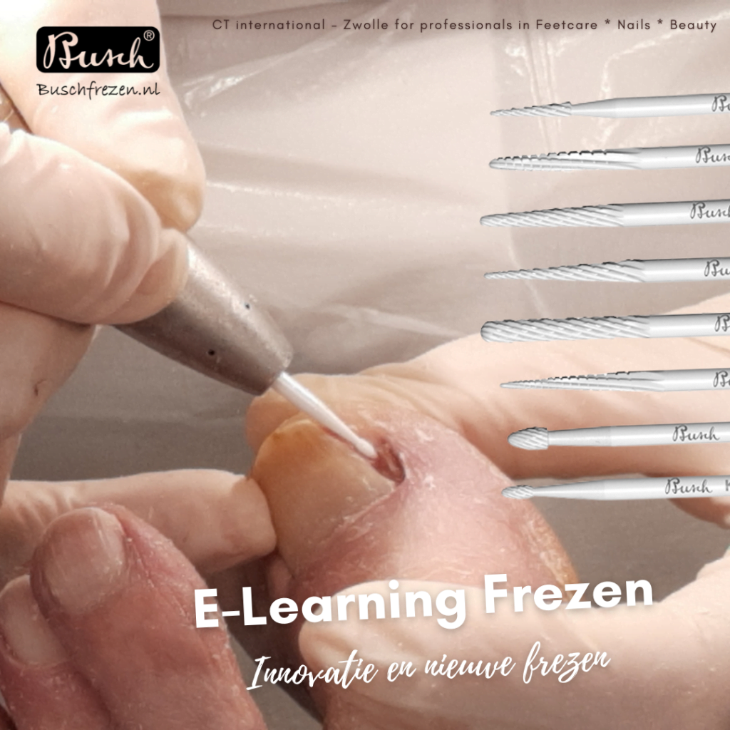 E-learning Frezen innovatie CTZwolle