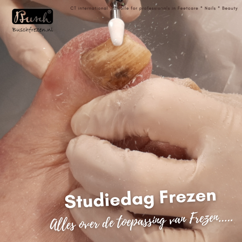 studiedag Frezen CTZwolle1