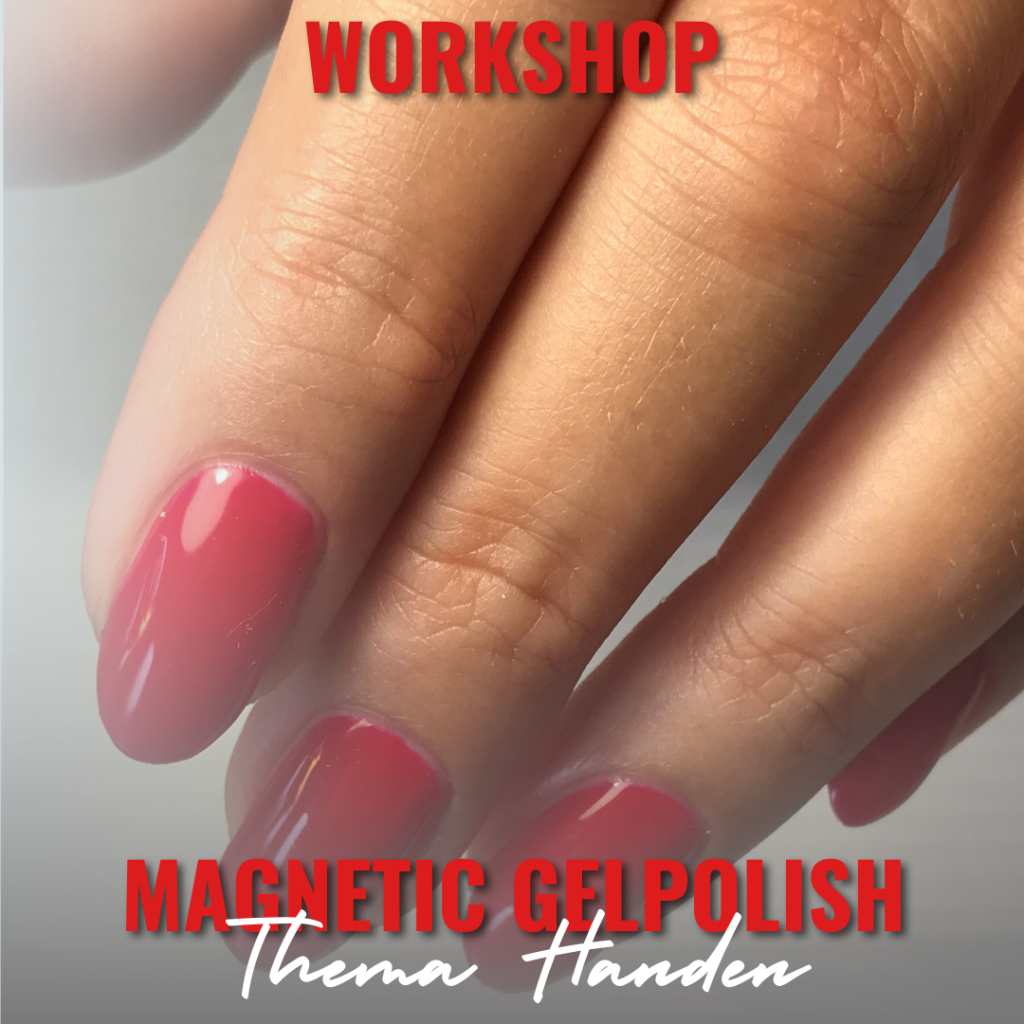 artikel provoet regiodag (21)