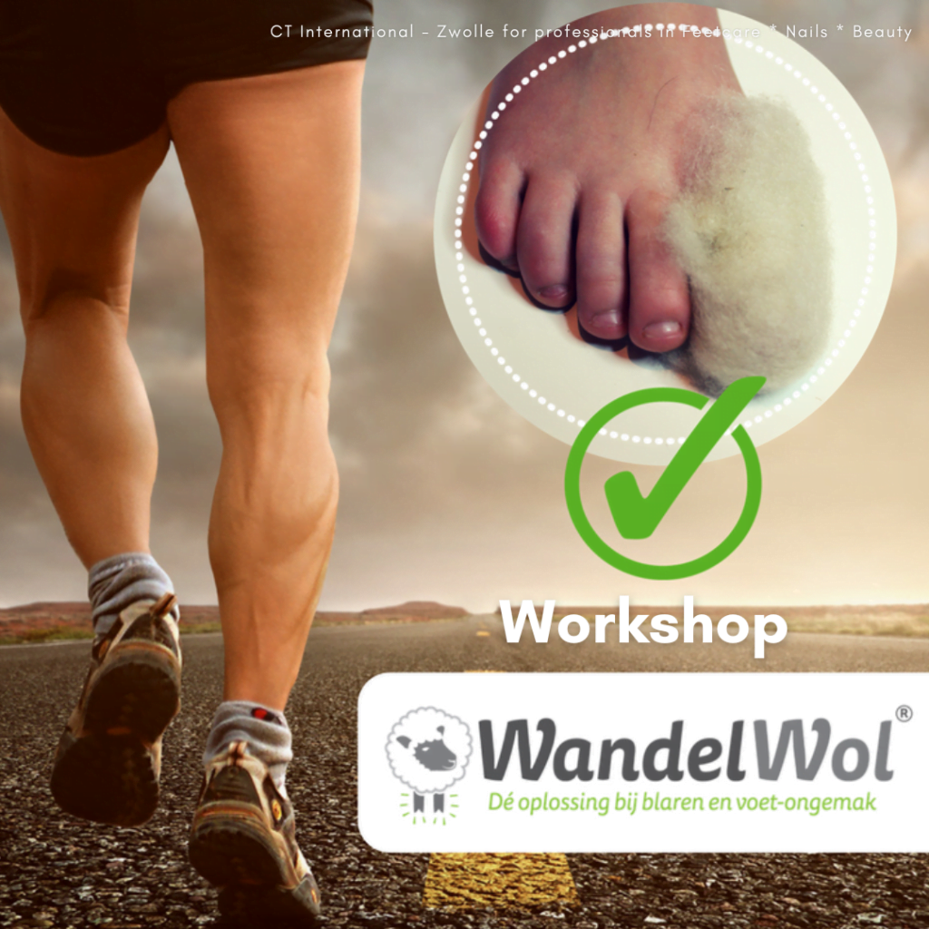 workshops CT international Zwolle zomer 2022 SoMe 1080x1080 (5)